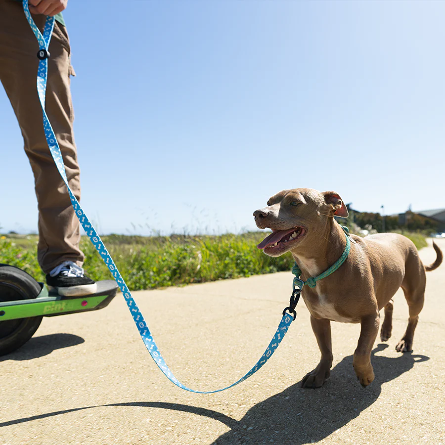 Onewheel Dog Leash - Image 2